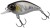 Wobler Berkley DEX Thumper Floating 4cm 3,7gr Baitfish Wobler Berkley DEX Thumper Floating 4cm 3,7gr Baitfish