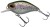 Wobler Berkley DEX Thumper Floating 7cm 27,6gr Rainbow Trout Wobler Berkley DEX Thumper Floating 7cm 27,6gr Rainbow Trout