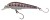 Wobler Berkley Hit Stick SK 5cm 4,2gr Rainbow Trout Wobler Berkley Hit Stick SK 5cm 4,2gr Rainbow Trout