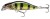 Wobler Daiwa Prorex Flat Minnow Živi بقس