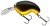 Wobler Daiwa Prorex Fuku 1 Crank 5,5cm 14,5g Crna Zlato