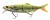 Wobler Daiwa Prorex Hybrid Swimbait 180SF 18cm 50gr Dugačka pastrva