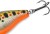 Wobler Delphin Wobby Crank SH 5cm 8gr