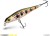 Wobler Delphin Wobby Jerk SH 8cm 6,5gr