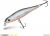 Wobler Delphin Wobby Jerk SH 8cm 6,5gr