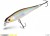 Wobler Delphin Wobby Jerk SH 8cm 6,5gr