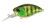 Wobler DUO Realis Crank 48MR Bottom Rush 4,8cm 10,5gr Chart Gill Halo
