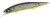 Wobler DUO Realis Jerkbait 100SP 10cm 14,5gr AM Edge Wobler DUO Realis Jerkbait 100SP 10cm 14,5gr AM Edge