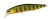 Wobler DUO Realis Jerkbait 100SP 10cm 14,5gr Gold Perch
