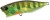 Wobler DUO Realis Popper 64 6,4cm 9gr Chart Gill Halo Wobler DUO Realis Popper 64 6,4cm 9gr Chart Gill Halo