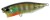 Wobler DUO Realis Popper 64 6,4cm 9gr Ghost Gill Wobler DUO Realis Popper 64 6,4cm 9gr Ghost Gill