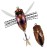 Wobler DUO Realis Shinmushi 4cm 5,7gr Beetle Wobler DUO Realis Shinmushi 4cm 5,7gr Beetle