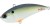 Wobler DUO Realis Vibration 68 G-Fix 6,8cm 21gr Američki šaran