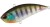 Wobler DUO Realis Vibration 68 G-Fix 6,8cm 21gr Ghost Gill