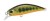 Wobler DUO Spearhead Ryuki 45S 4,5cm 4gr Gold Yamame