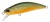 Wobler DUO Spearhead Ryuki 45S 4,5cm 4gr Iwana II