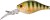 Wobler Gunki D-Gigan F 4,6cm 7,6gr Wild Perch Wobler Gunki D-Gigan F 4,6cm 7,6gr Wild Perch