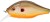 Wobler Gunki Dogora F 10cm 39,9gr Sun Perch