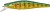 Wobler Gunki Gamera King 150 SP 15cm 49,95gr Fire Gold Bream