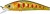 Wobler Gunki Gamera SHW 5,4cm 4,5gr HL Brown Trout