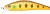 Wobler Gunki Gamera SHW 7,8cm 10,6gr Gold Trout