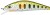 Wobler Gunki Gamera SHW 7,8cm 10,6gr Spot Green Trout