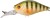 Wobler Gunki Gigan 39 F 3,9m 4,7gr Wild Perch Wobler Gunki Gigan 39 F 3,9m 4,7gr Wild Perch