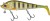 Wobler Gunki Grouper 18cm 73,5gr Wild Perch Wobler Gunki Grouper 18cm 73,5gr Wild Perch