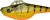 Wobler Gunki Jigger S 3,5cm 9gr Strass Perch Wobler Gunki Jigger S 3,5cm 9gr Strass Perch