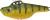 Wobler Gunki Jigger S 4,2cm 16,1gr Strass Perch Wobler Gunki Jigger S 4,2cm 16,1gr Strass Perch