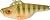 Wobler Gunki Jigger S 4,2cm 16,1gr Wild Perch Wobler Gunki Jigger S 4,2cm 16,1gr Wild Perch