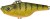 Wobler Gunki Jigger S 5,5cm 31,3gr Strass Perch Wobler Gunki Jigger S 5,5cm 31,3gr Strass Perch