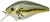 Wobler Gunki Kraken 55 F 5,5cm 9,6gr Baby Bass