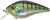 Wobler Gunki Kraken F 5,5cm 9,6gr Blue Gill GB Wobler Gunki Kraken F 5,5cm 9,6gr Blue Gill GB