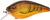 Wobler Gunki Kraken F 5,5cm 9,6gr Brown Craw Wobler Gunki Kraken F 5,5cm 9,6gr Brown Craw