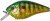 Wobler Gunki Kraken F 5,5cm 9,6gr Fire Gold Perch Wobler Gunki Kraken F 5,5cm 9,6gr Fire Gold Perch