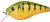 Wobler Gunki Kraken F 5,5cm 9,6gr Strass Perch Wobler Gunki Kraken F 5,5cm 9,6gr Strass Perch