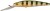 Wobler Gunki Mothra F 9cm 12,5gr Wild Perch Wobler Gunki Mothra F 9cm 12,5gr Wild Perch