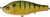 Wobler Gunki Otachi 100 S 10cm 34gr Strass Perch