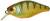 Wobler Illex Cherry CC 5cm 9,5cm Agressive Perch Wobler Illex Cherry CC 5cm 9,5cm Agressive Perch