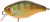 Wobler Illex Chubby 3,8cm 4gr Agressive Perch Wobler Illex Chubby 3,8cm 4gr Agressive Perch