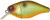 Wobler Illex Chubby 3,8cm 4gr Muddy Roach Wobler Illex Chubby 3,8cm 4gr Muddy Roach