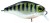 Wobler Illex Chubby 3,8cm 4gr Vairon