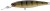 Wobler Illex DD Squirrel SP 6,7cm 8,6gr Perch Wobler Illex DD Squirrel SP 6,7cm 8,6gr Perch