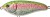 Wobler Illex Dexter Jerk S 10cm 37,5gr HL Rainbow Trout Wobler Illex Dexter Jerk S 10cm 37,5gr HL Rainbow Trout