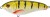Wobler Illex Dexter Jerk SS 10cm 33,8gr Perch