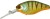 Wobler Illex Diving Cherry 4,8cm Agressive Perch