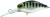 Wobler Illex Diving Chubby 3,8cm 4,3gr Vairon