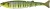 Wobler Illex Freddy CW 17cm 43,8gr Sergent Gill Wobler Illex Freddy CW 17cm 43,8gr Sergent Gill
