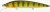 Wobler Illex Rerange SP 11cm 14,8gr Perch Wobler Illex Rerange SP 11cm 14,8gr Perch